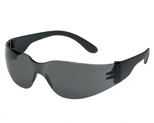 Schutzbrille Bügelbrille Champ grau Schutzbrille Bügelbrille Champ grau
